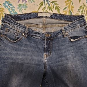 Torrid jeans